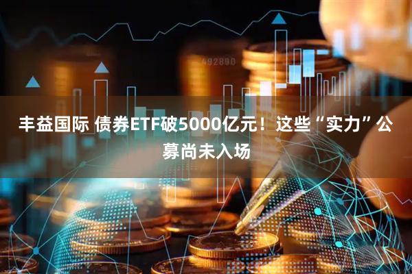 丰益国际 债券ETF破5000亿元！这些“实力”公募尚未入场