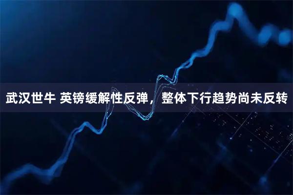 武汉世牛 英镑缓解性反弹，整体下行趋势尚未反转