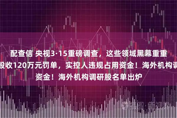 配查信 央视3·15重磅调查，这些领域黑幕重重！七天六板牛股收120万元罚单，实控人违规占用资金！海外机构调研股名单出炉